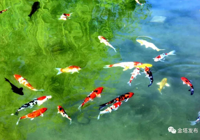 3分钟教程“富豪炸金花手机版可以开挂吗贴吧(确实真的有挂)-知乎