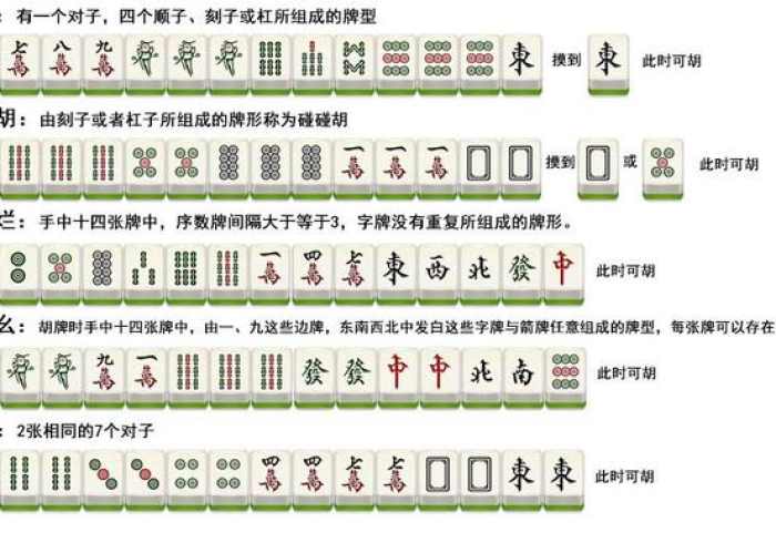 [分析]“湖北斗棋麻将有什么规律”(原来确实是有插件)